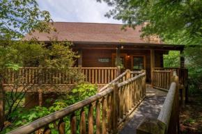 ER244 - Black Hawk Hideaway cabin Pigeon Forge
